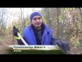 Агроера 22 10 16 (трюфель в Україні, мікоризні гриби)