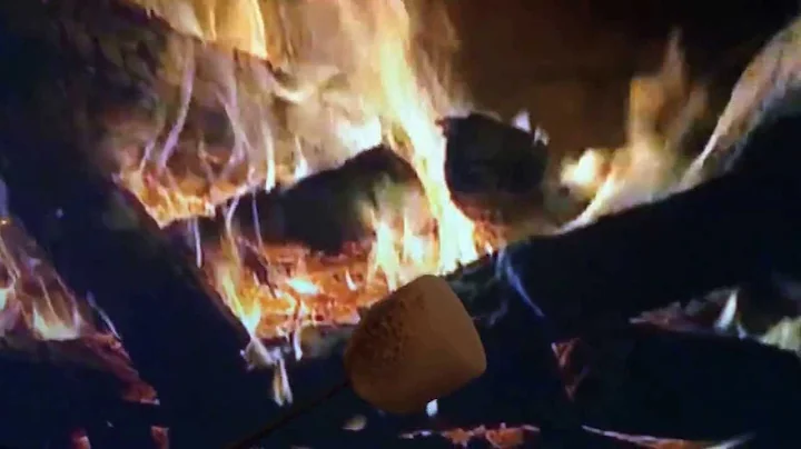 When you really need a S'more!