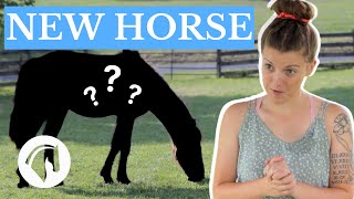 GETTING MY NEW HORSE! (Horse Reveal)