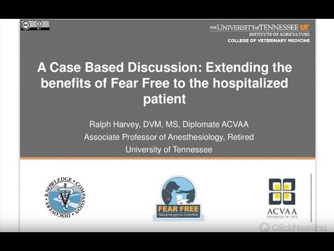 Case Management of Fear, Anxiety, Stress, and Pain