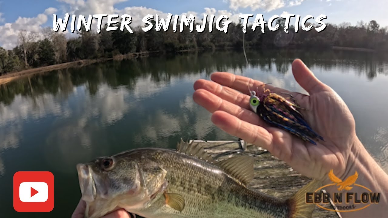 Ice Cold Swim Jigs: Pond Bass Fishing