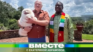 Беларусь и Зимбабве объединились против санкций Запада. Подробности визита Лукашенко в Африку