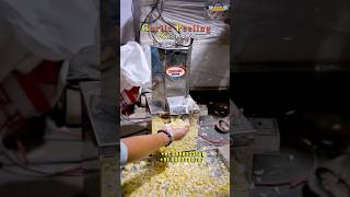 Garlic Peeler Machine | Garlic Peeling Machine For Garlic Powder Business