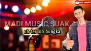 sabe beusajan karaoke lagu aceh ramlan yahya