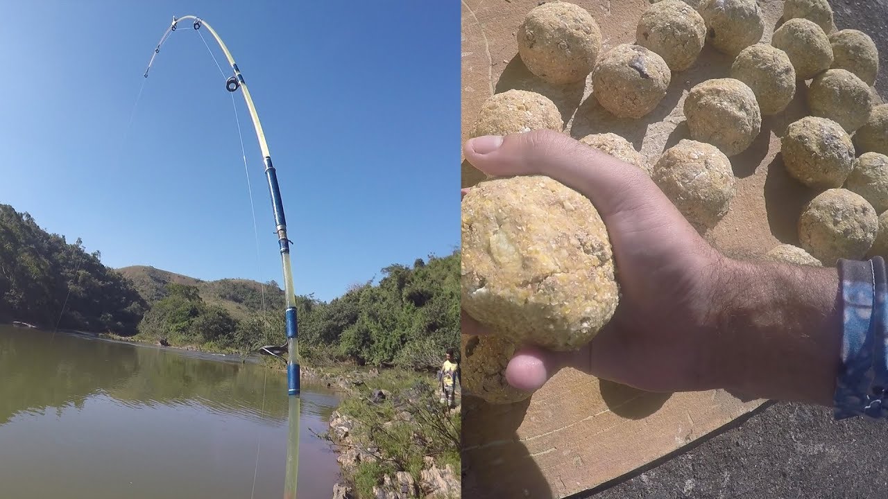 VOCÊ SABE FAZER CEVA DE VERDADE?? CEVA COM ARROZ PARA CURIMBA PIAU E TILÁPIA. Canal do Pescador