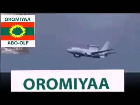 Caala Bultum By Bortolina Habtamu