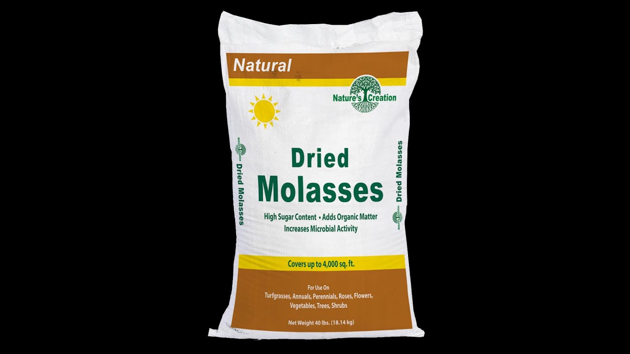 Dried Molasses5 14 20 YouTube