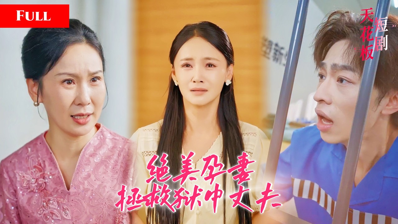 獄中歸來：絕美嬌妻護夫逆襲