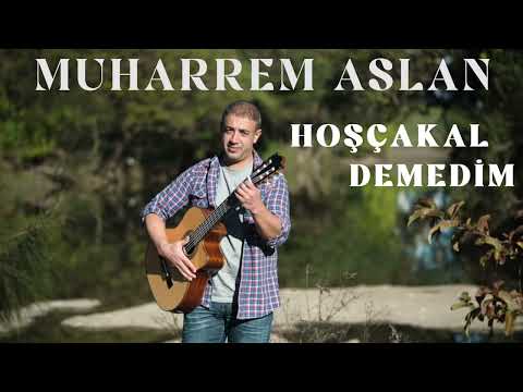 Muharrem Aslan _ Hoşçakal Demedim (Nostalji)