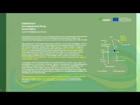 Información en los prospectos de los medicamentos