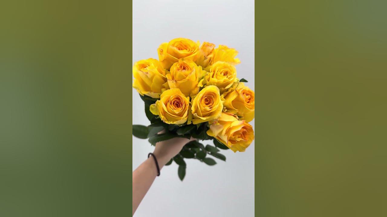 Rose Dejavu from Colombia #flowers #weddingflowers#shorts #worldflora