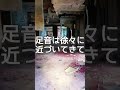 廃墟で知らない人と出くわしたら? #shorts