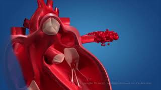 Сердце во всей красе! 3D  анимация работы сердца, со всеми механизмами работы, и кровообращения