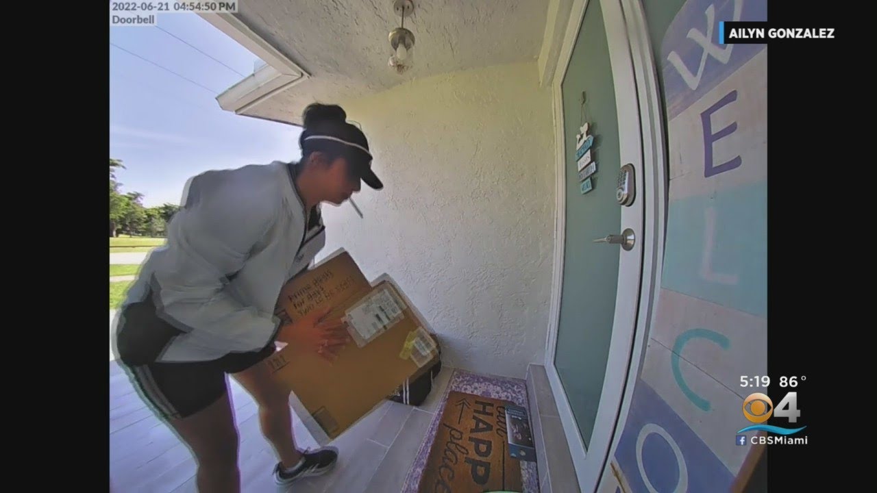 Davie "porch pirate" caught on camera stealing packages - YouTube