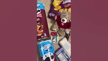 Souvenirs That I Bought During My Europe Trip 
