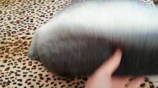Вязание спицами. Платок бактус. Вязание спицами. Платок бактус.