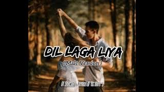 Dil Laga Liya ( Male Version) Lofi || Slowed   Reverb || Vk lofi's