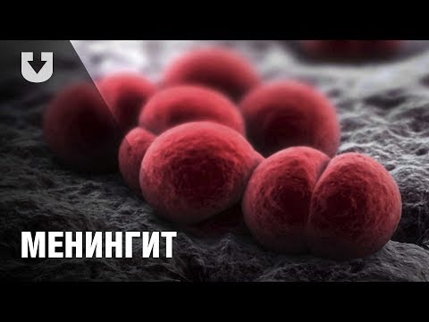 Видео: Разлика между вирусен и бактериален менингит