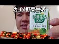 カゴメ　野菜生活100オリジナルを飲んでみた。これを基準に色々と～