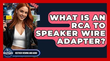 What Is An RCA To Speaker Wire Adapter? - NextGen Viewing and Audio