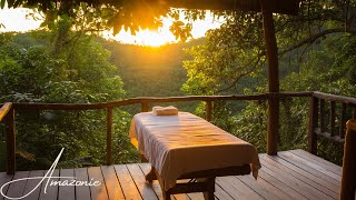 Relaxation & Méditation | Musique Apaisante au cœur de l'Amazonie