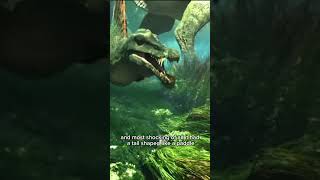 Spinosaurus: The Most Confusing Dinosaur Ever.