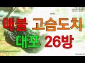 XSX 와일드 하츠 - 매불 고슴도치 호저 독기어린 죽음의 깃 꿀잼 멀티 공방