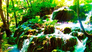 4k Calming Turquoise River and Bridge Relaxing Nature Sounds. Carpathian Mountains River Noise