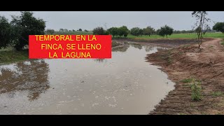 DESASTRE CLIMATICO EN LA FINCA by Jorge Ramat 4,307 views 10 months ago 8 minutes, 27 seconds