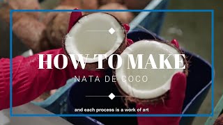 [ASMR] How to Make Nata de Coco