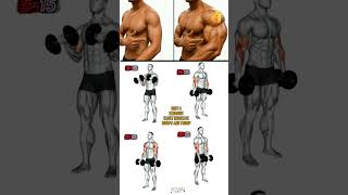 build Biceps and triceps ✅#tricepsworkout #bicepsworkout #fitness