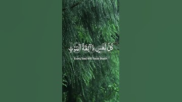 القران الكريم راحة نفسية❤️🕋#القران_الكريم #راحة_نفسية