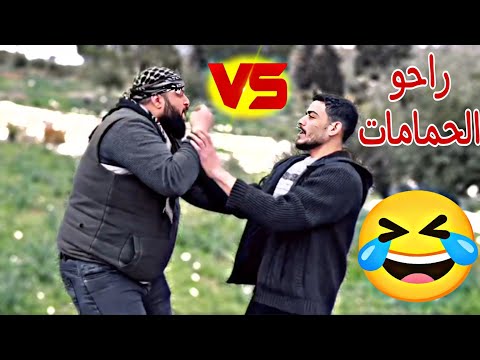 لما تحاول تتفهمن عصاحبك كشاش الحمام