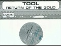 Tool  return of the gold