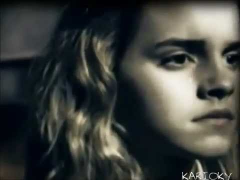      مين فينا المصدوم وائل جسار 2011