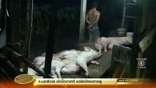 จนท.ลุยตรวจจับโรงฆ่าสัตว์เถื่อนที่นครนายก แม่ค้าเขียงหมูร่ำไห้ไม่มีหมูขายตรุษจีน