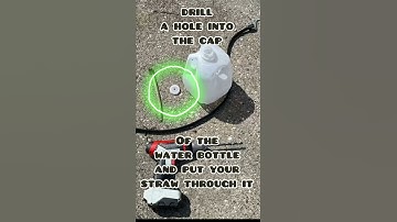 Tapping Spring Birch Sap: