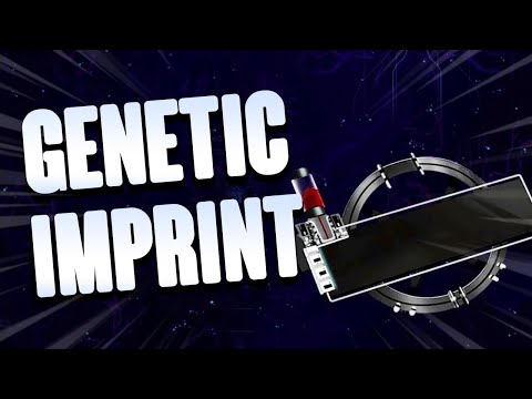 Video: Mis on imprints warframe?