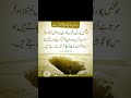 Islamic information   urdu quotes urdu islamic quotes  best quotes  informative writes