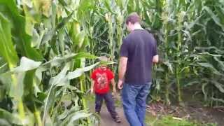 Washington State corn maze at Swan's Trail Farm in Snohomish