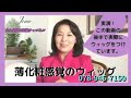 薄化粧感覚のウィッグ　【ウィッグ 自然】