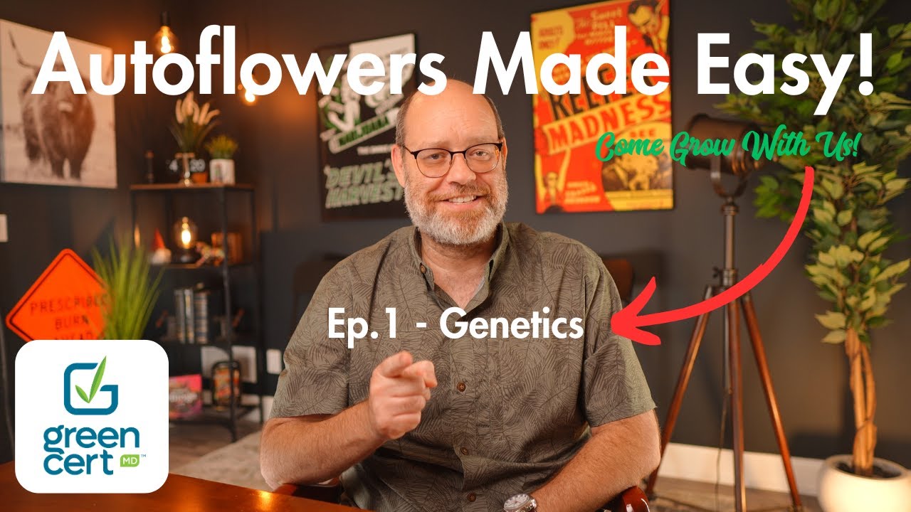 Autoflowers Made Easy! Ep.1 - Genetics!
