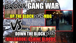 Bronx Gang War - YGz VS YBz - Mill Brook Projects - MBG VS KillBrook