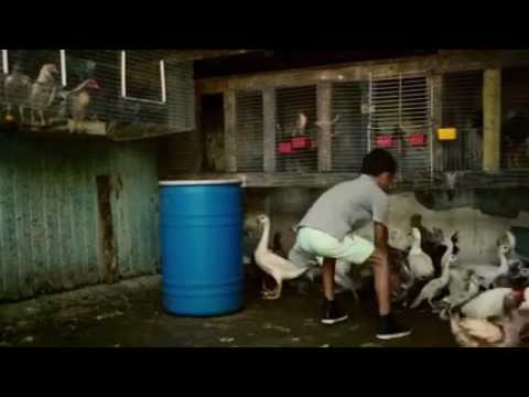 დესპასიტო