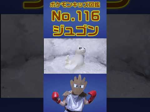 ポケモン実体図鑑No 116ジュゴン #ポケモンキッズ #ジュゴン