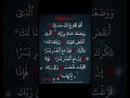 Powerful Surah Al-Inshirah Recitation | Relaxing & Heart Touching Quran#quran #shorts#relaxing