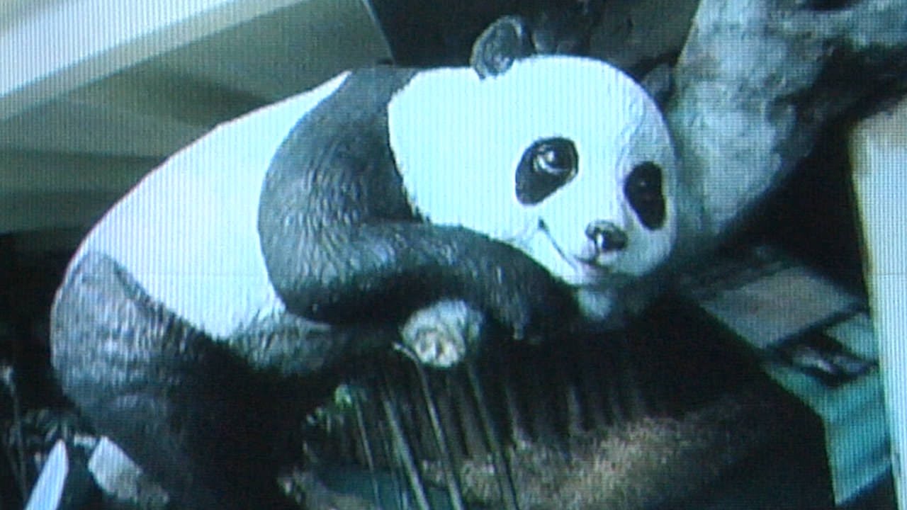 Group Inou Safe Youtube