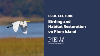 Birding and Habitat Restoration on Plum Island - ECOC March 2024