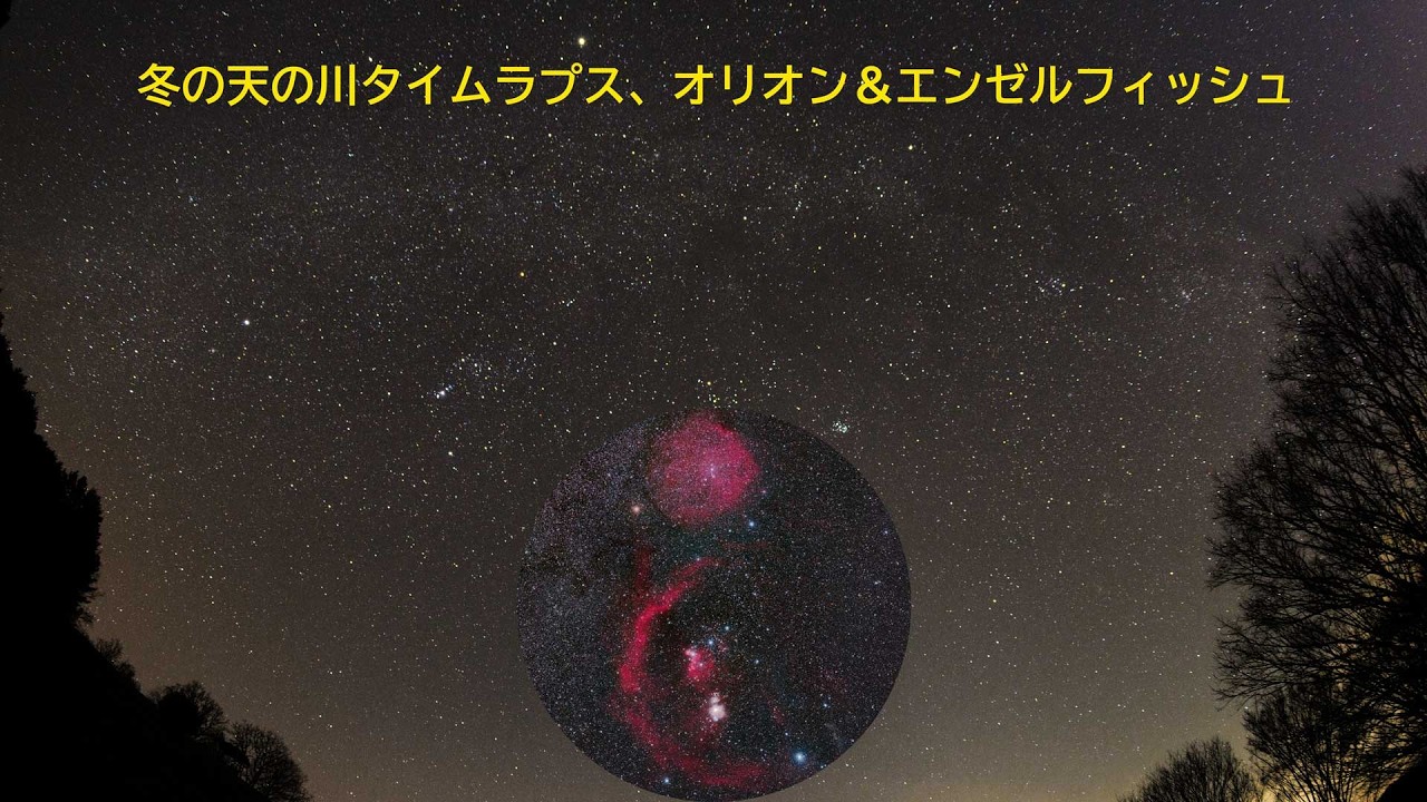ミラーレスカメラ（ノーマル）で撮影した冬の天の川タイムラプスとオリオン＆エンゼルフィッシュ星雲です。