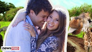 Famous Bindi Irwin Is ENGAGED At 21! Net Worth
